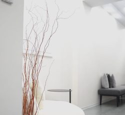 استخدام پزشک عمومی مسلط به پروسیجر های زیبایی
