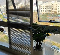 نیازمند پزشک عمومی دارای پروانه و سابقه کار در فیلد زیبایی