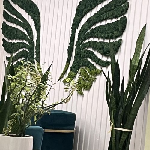 اجاره یک اتاق در مطب زیبایی و زنان